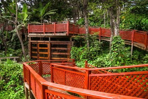 A wooden structure with a red lattice railing, surrounded by dense greenery.