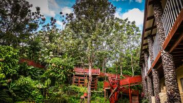 Vista desde la habitación