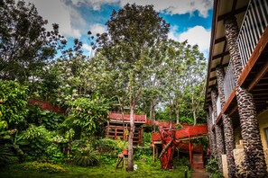 Single Room, Garden View | View from room