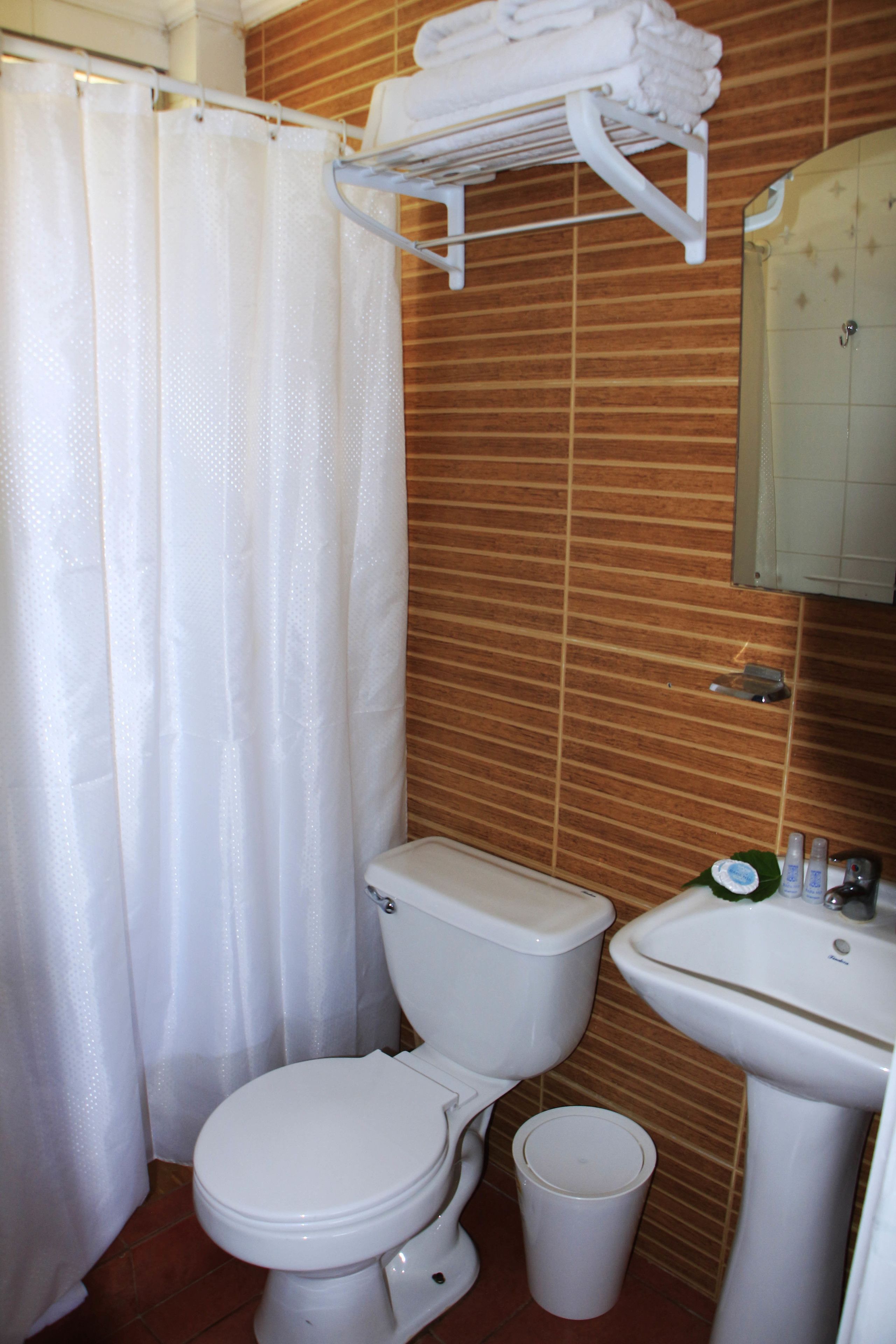 Een badkamer met toilet, wastafel en douchegordijn.