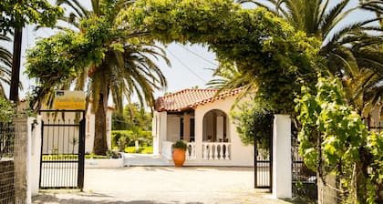 Paradise Village