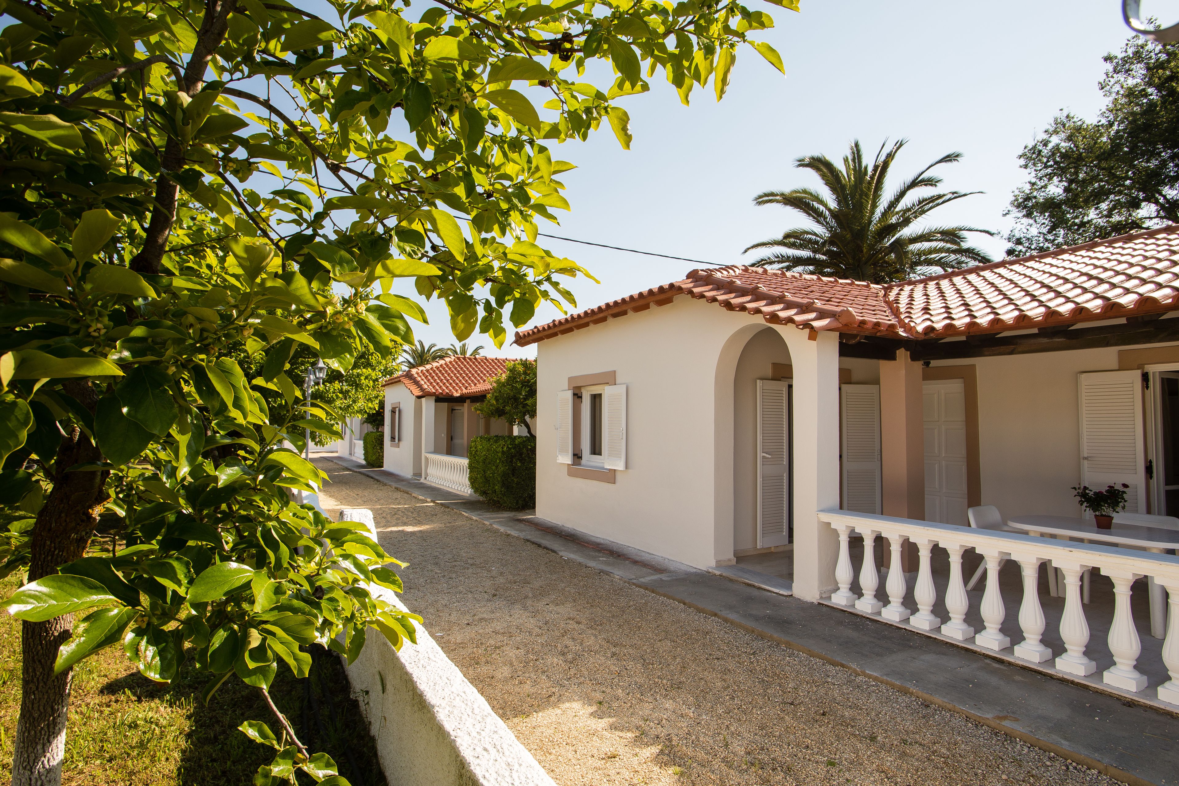 Foto - Paradise Village