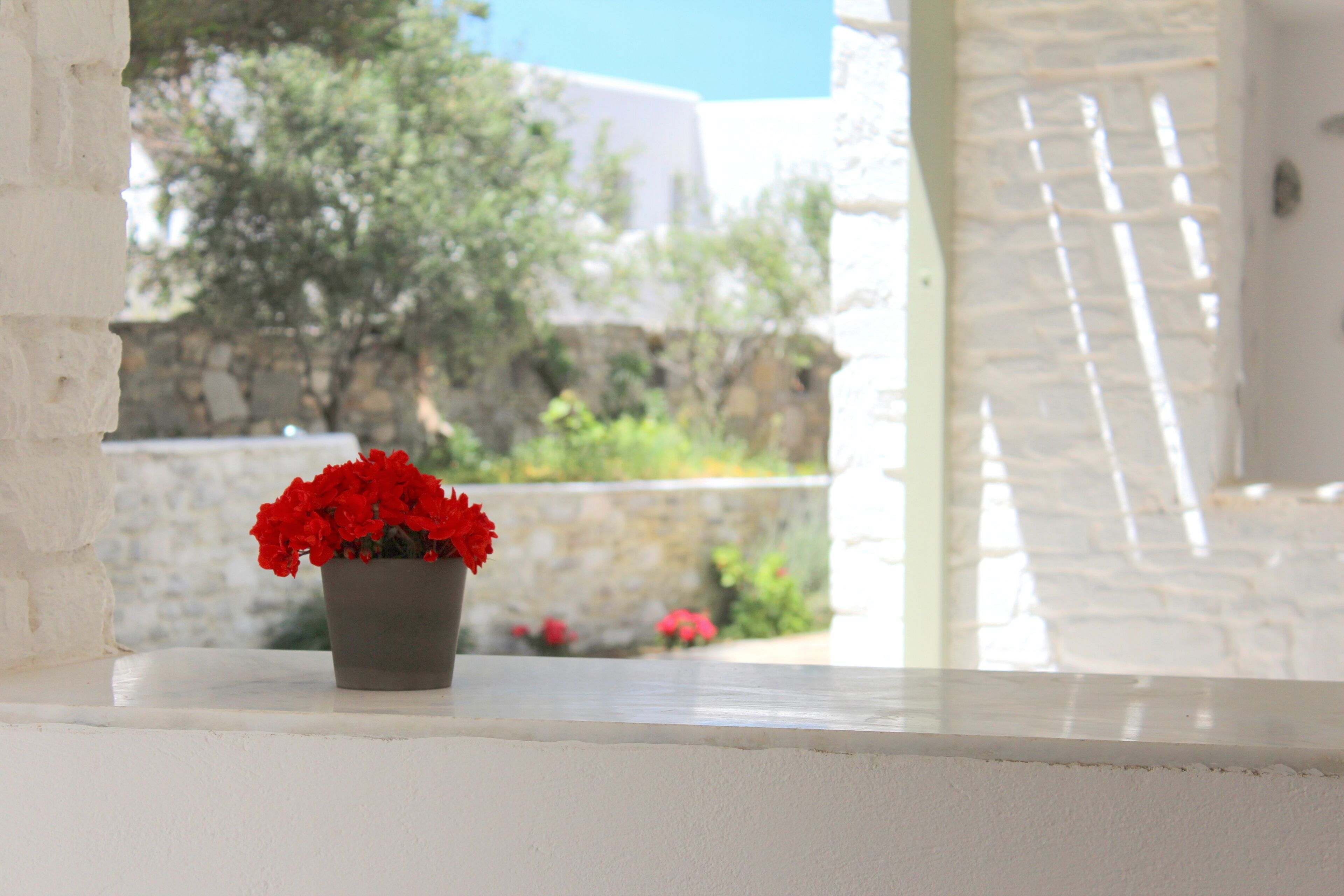 junior studio suite, garden view | terrace/patio