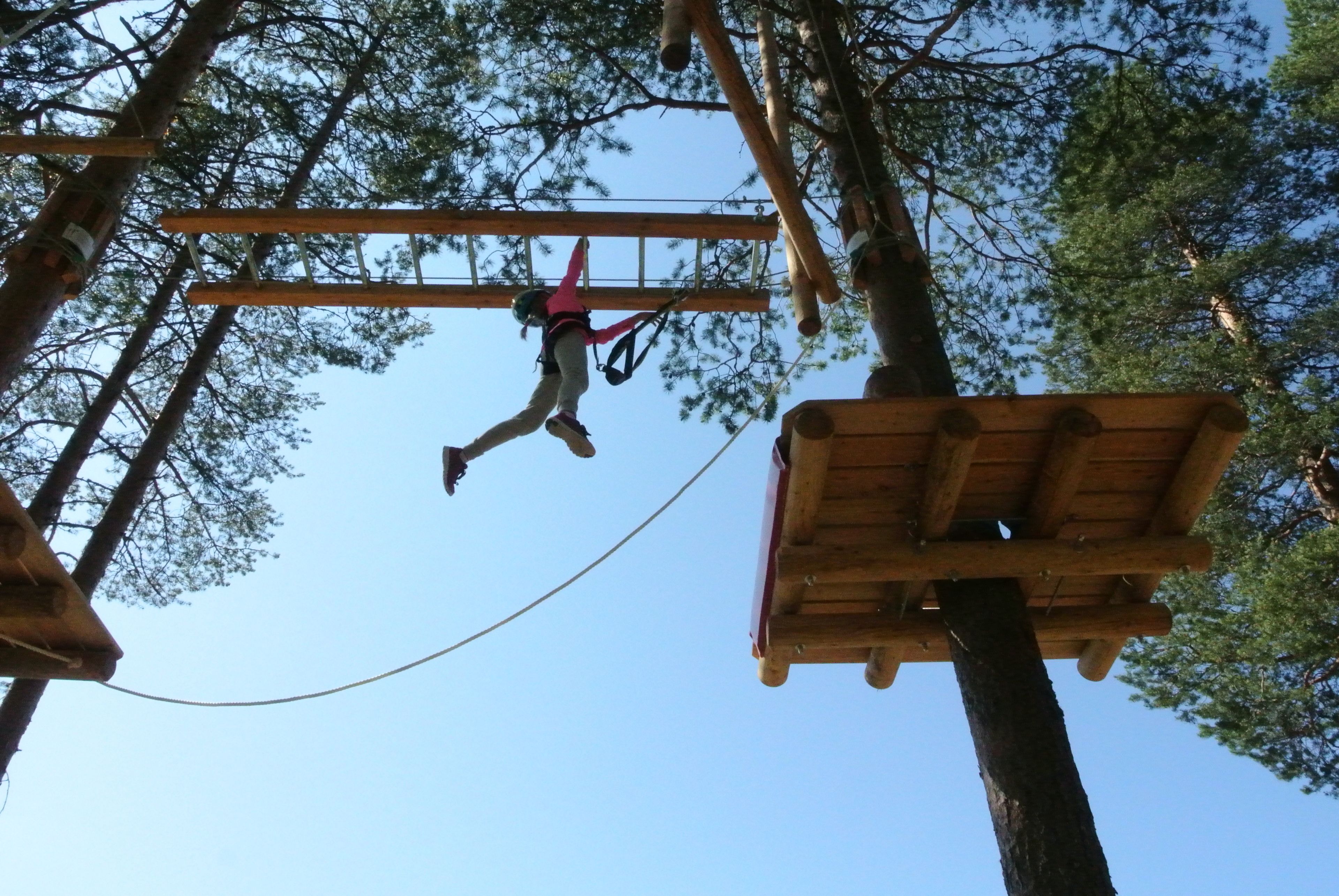A person bungee jumping from a wooden platform in a forested area.