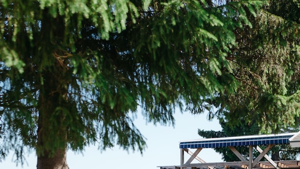 Ein Außenbereich mit Tischen und Stühlen, eine Holzterrasse und Blick auf einen See.