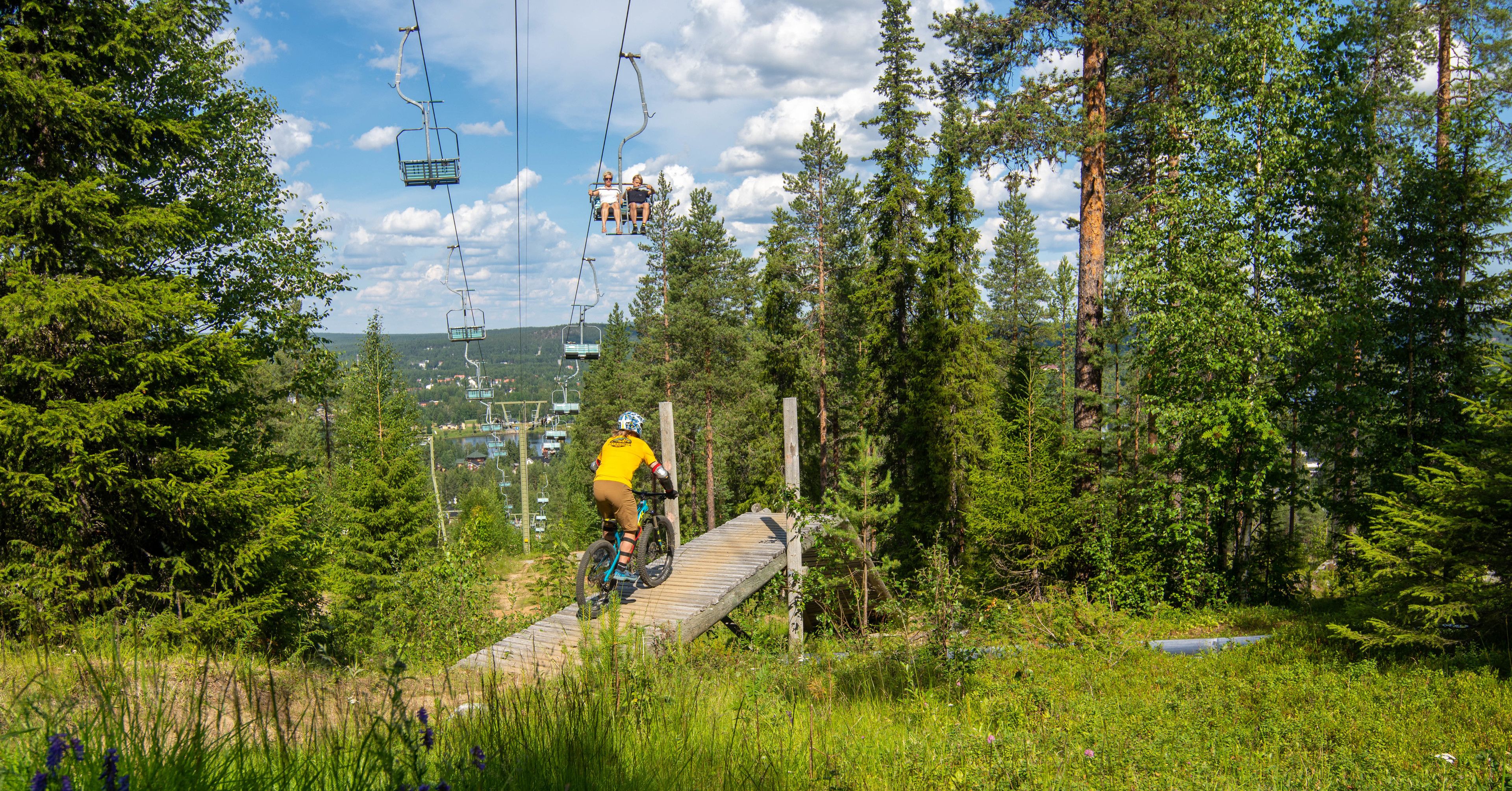 A mountain biking trail with wooden bridges and a forested area.