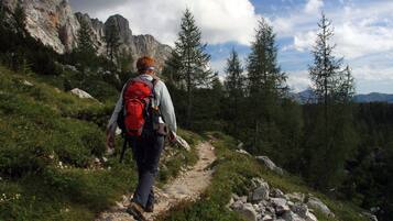 Un randonneur sur un sentier rocailleux, entouré d’arbres et de montagnes.