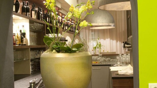 Eine Bar mit einer großen Schüssel voller gelber Blumen, Regalen mit Flaschen und Gläsern.