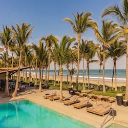 Outdoor pool, sun loungers