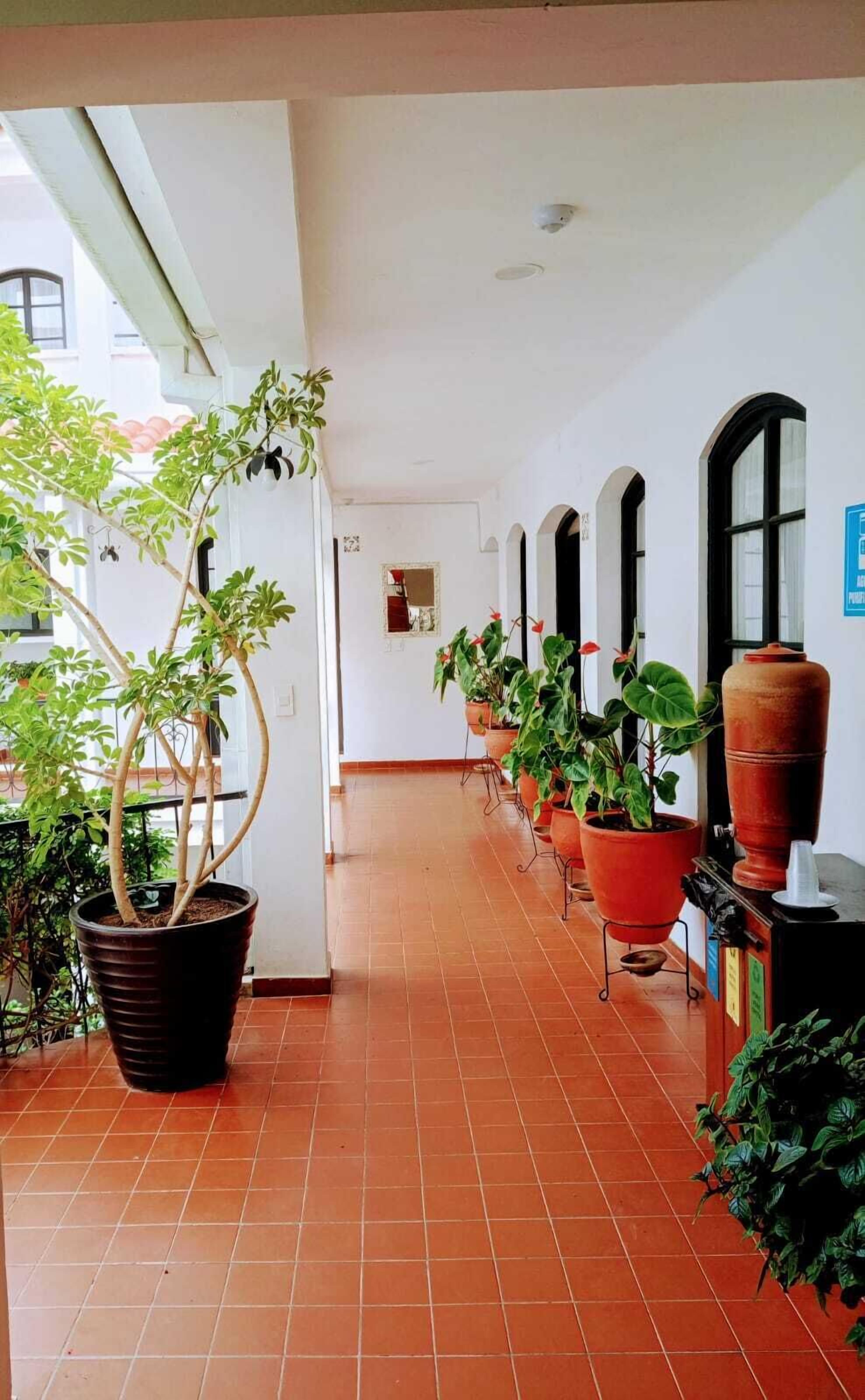 Un pasillo con plantas en macetas, piso de baldosas y un ventanal.