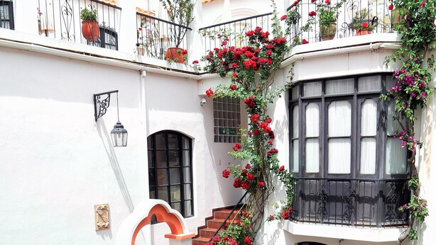 A multi-level courtyard with a central staircase, potted plants, and a fountain. - Hotel de Su Merced (Sucre)