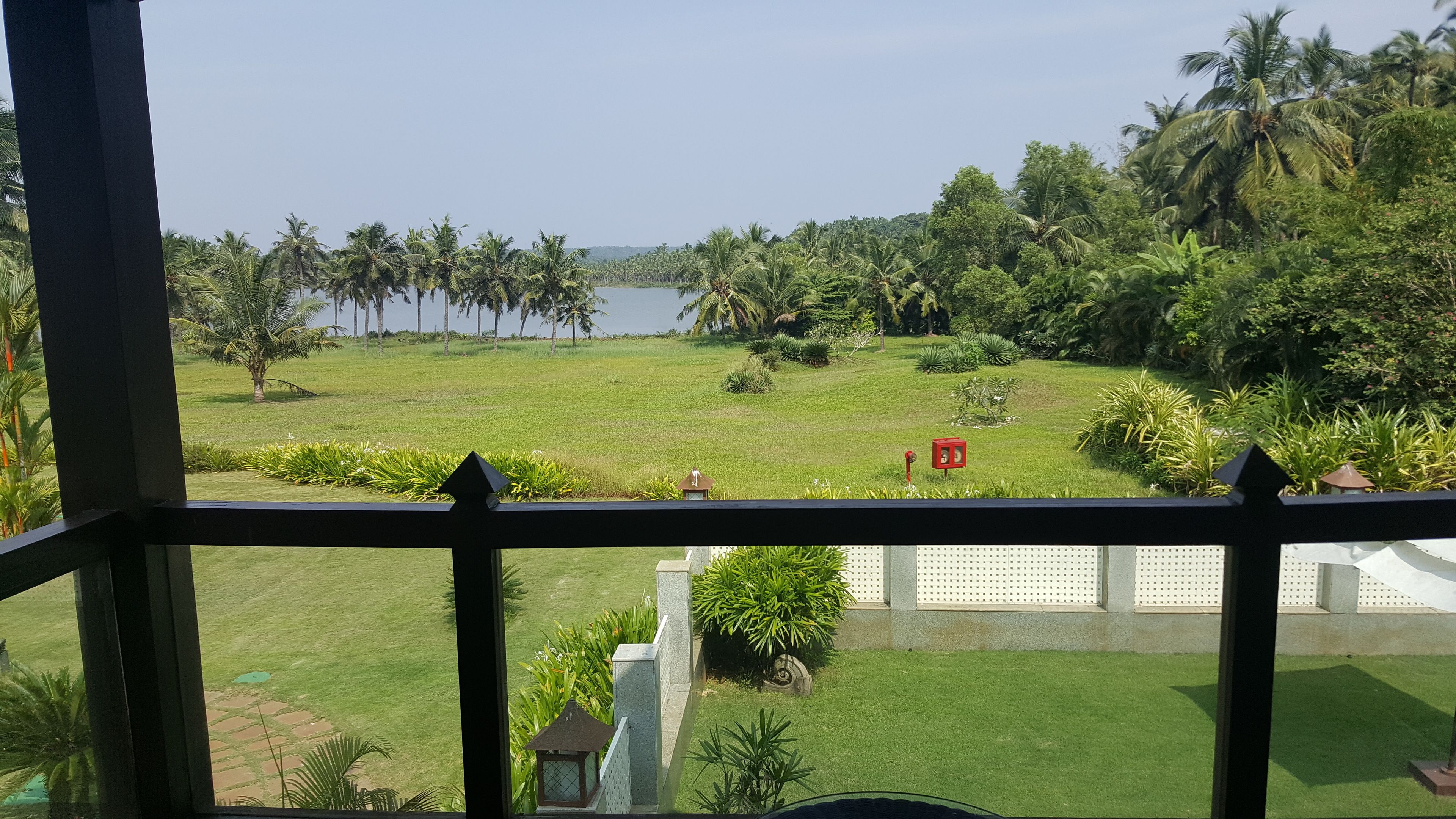 A view from a window overlooking a well-maintained lawn with palm trees and a body of water in the distance.