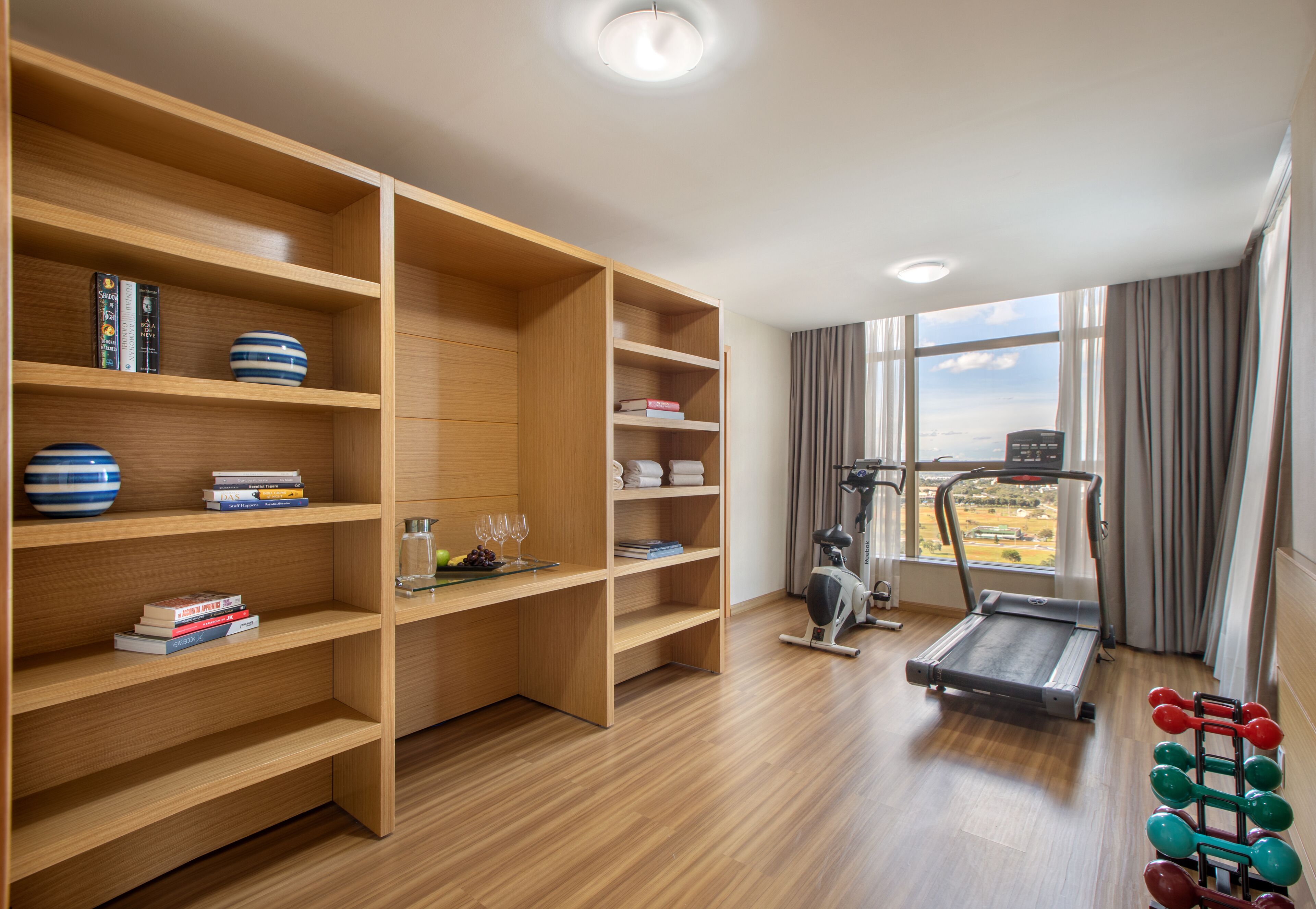 penthouse (suite) | in-room fitness