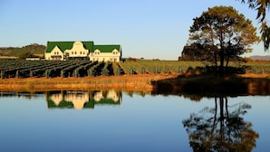 Unclassified image, 5 of 65, button - CANA Vineyard Guesthouse (Paarl)