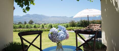 De Luxe Room | Utsikt fra rommet