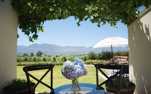 De Luxe Room | View from room - CANA Vineyard Guesthouse (Paarl)