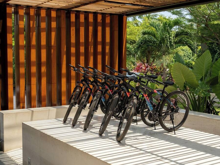 Un espace extérieur abrité, avec une rangée de vélos garés sous un toit en lattes de bois.