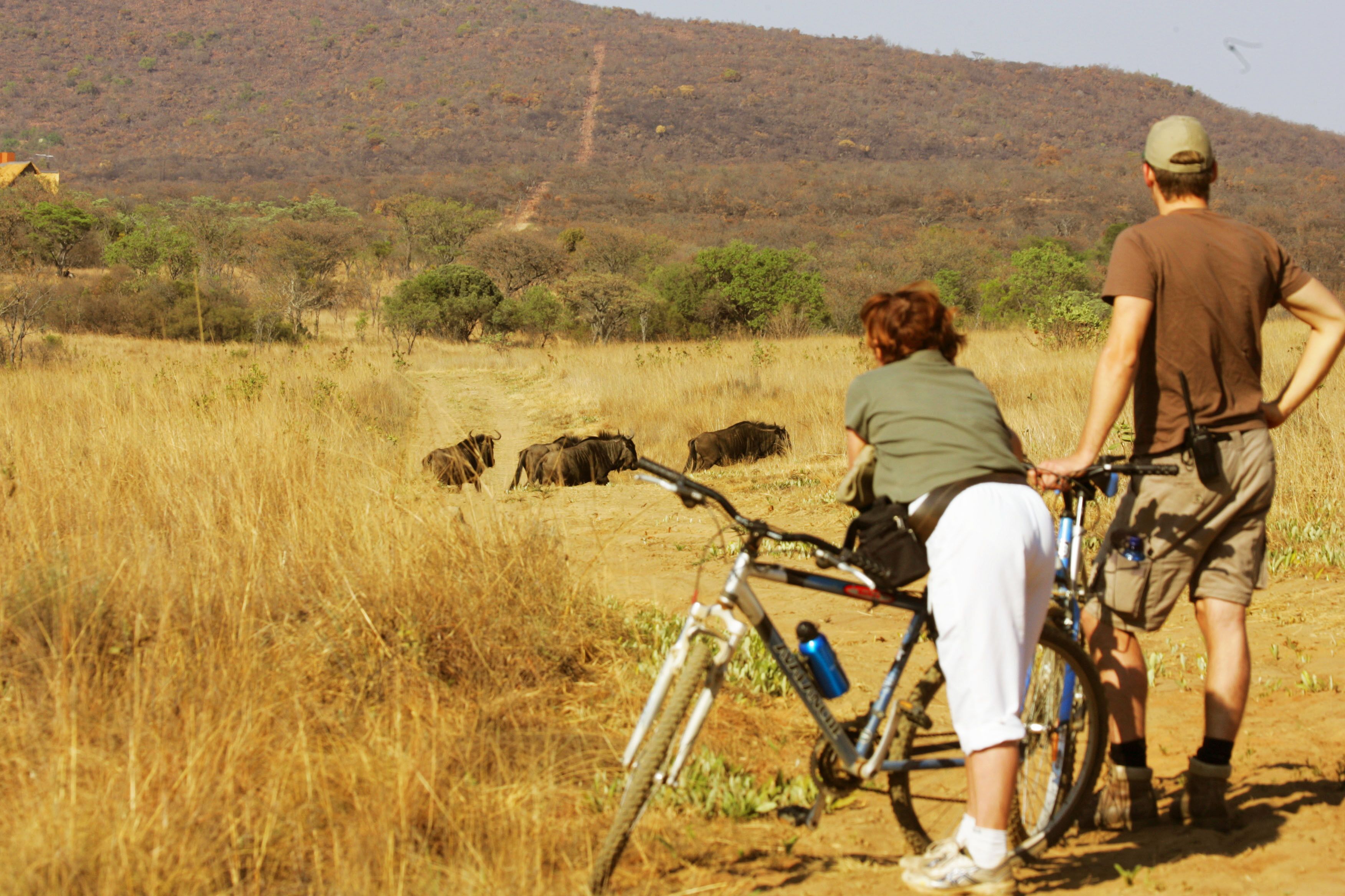 Bicycling