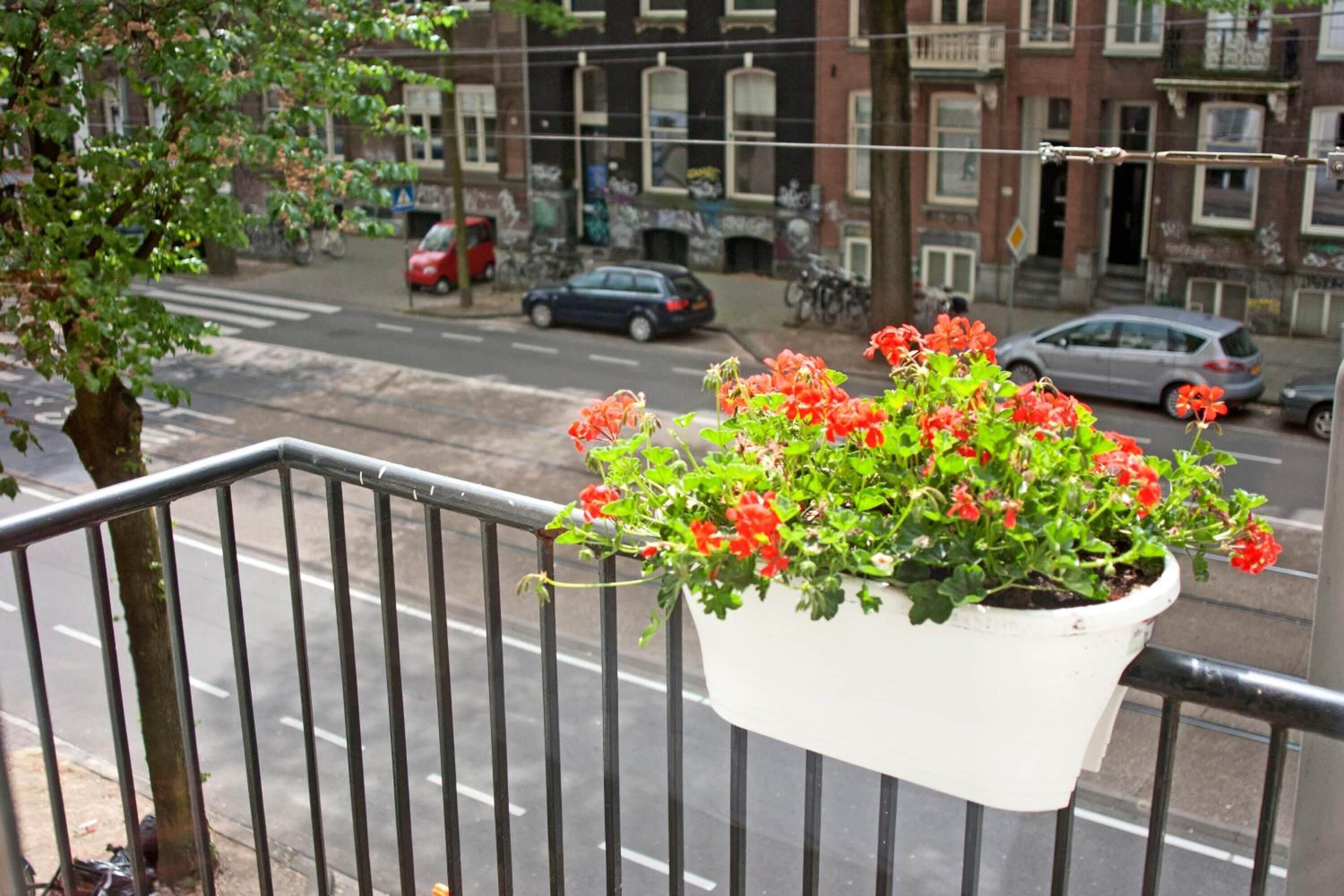 Photo - Hotel Allure