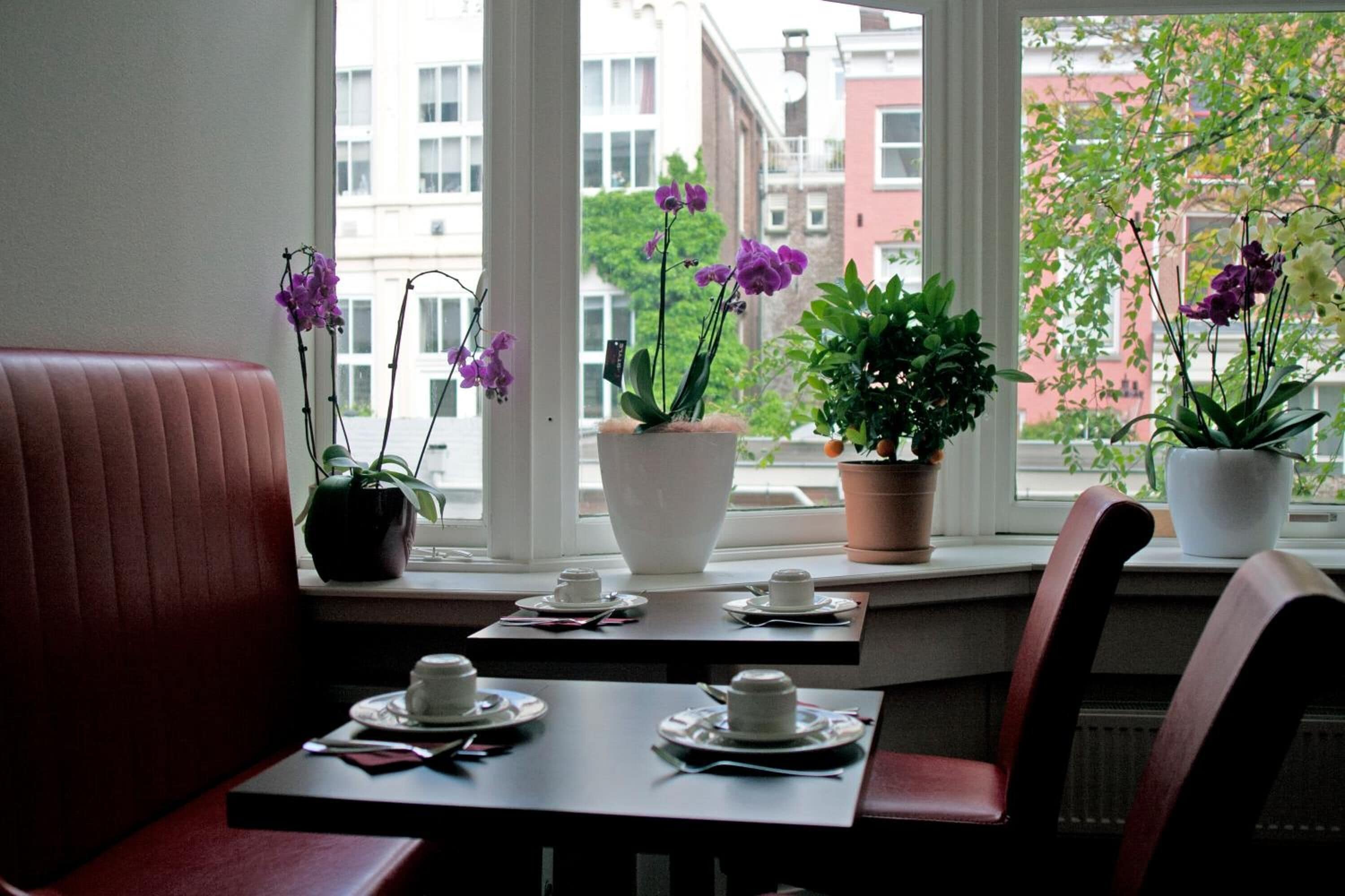 Photo - Hotel Allure