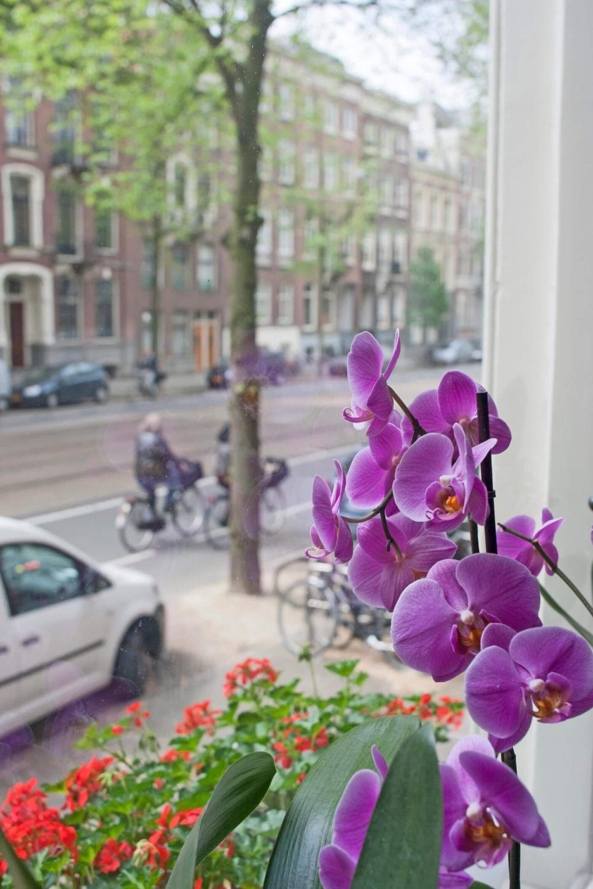 Photo - Hotel Allure