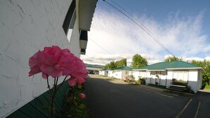 A row of mobile homes with green roofs and a pink flower in the foreground. - Somass Motel (Port Alberni)