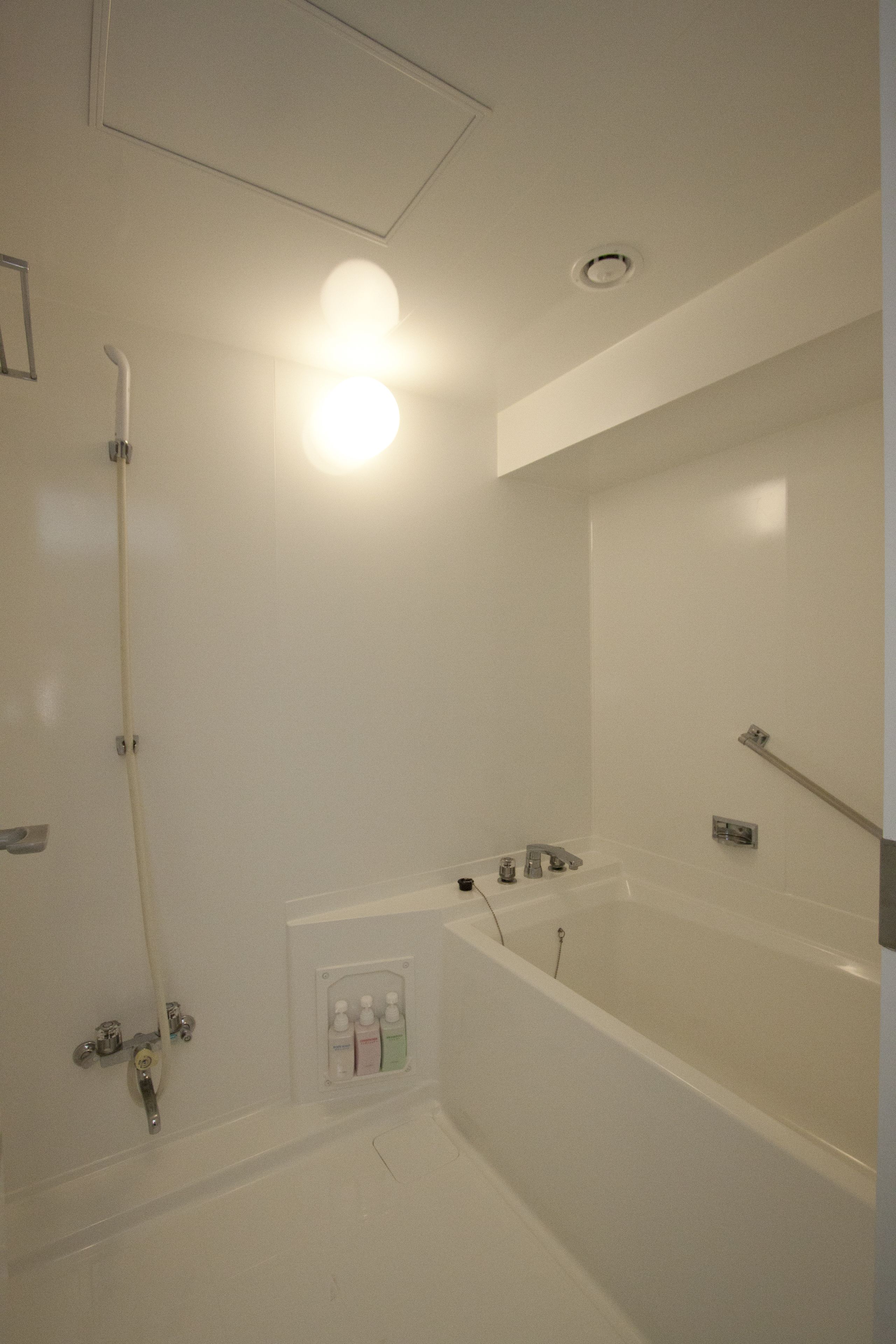 combined shower/bathtub, deep-soaking bathtub, rainfall showerhead