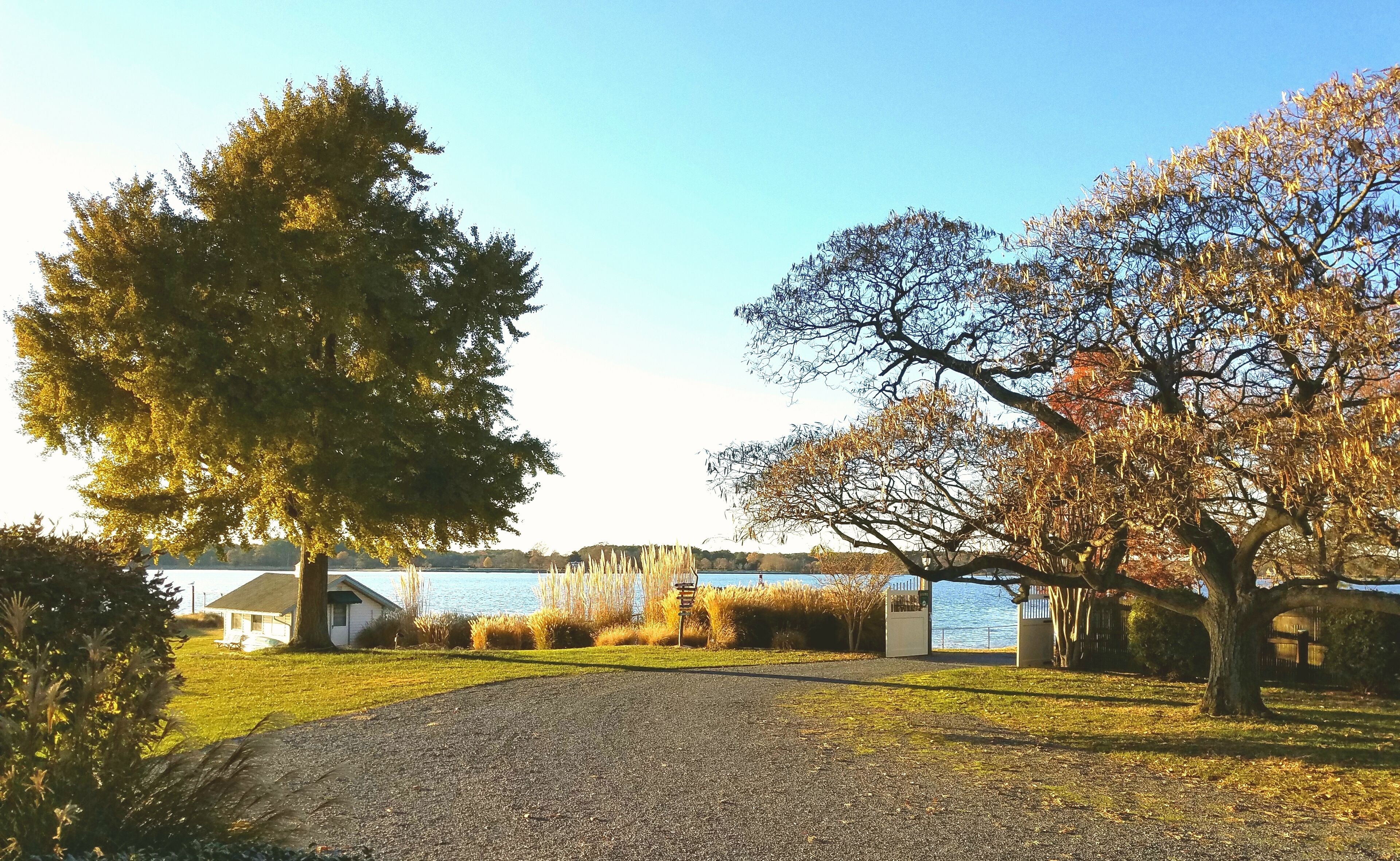 A park with a gravel path, trees, and a lake.