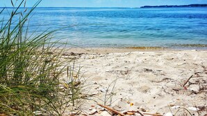Ein Strand mit klarem Wasser, sandigem Ufer und etwas Vegetation.