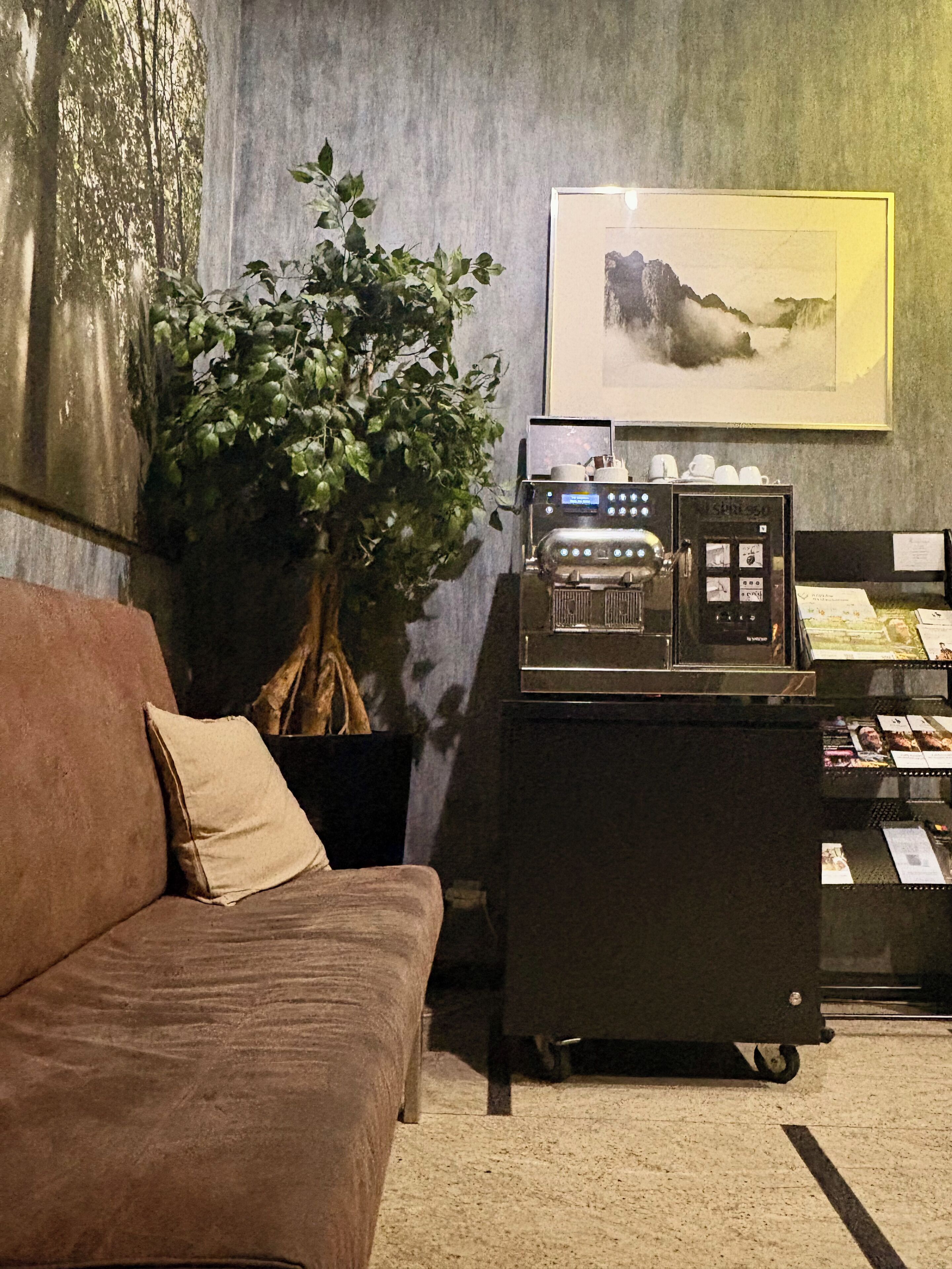 A cozy room with a brown sofa, a coffee machine, a potted plant, and a framed picture on the wall.