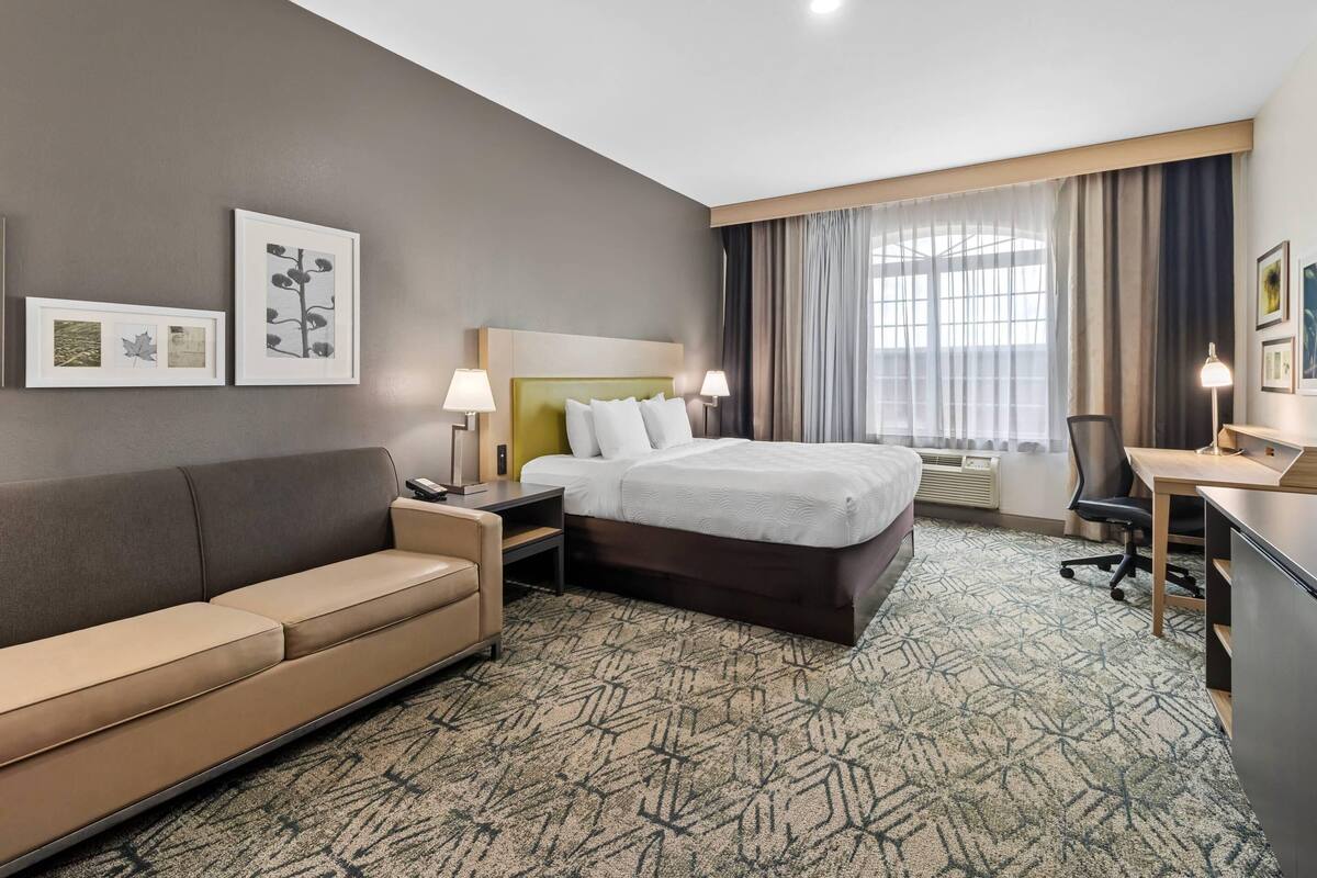 Studio Suite, 1 King Bed, Non Smoking | Desk, laptop workspace, blackout drapes, soundproofing