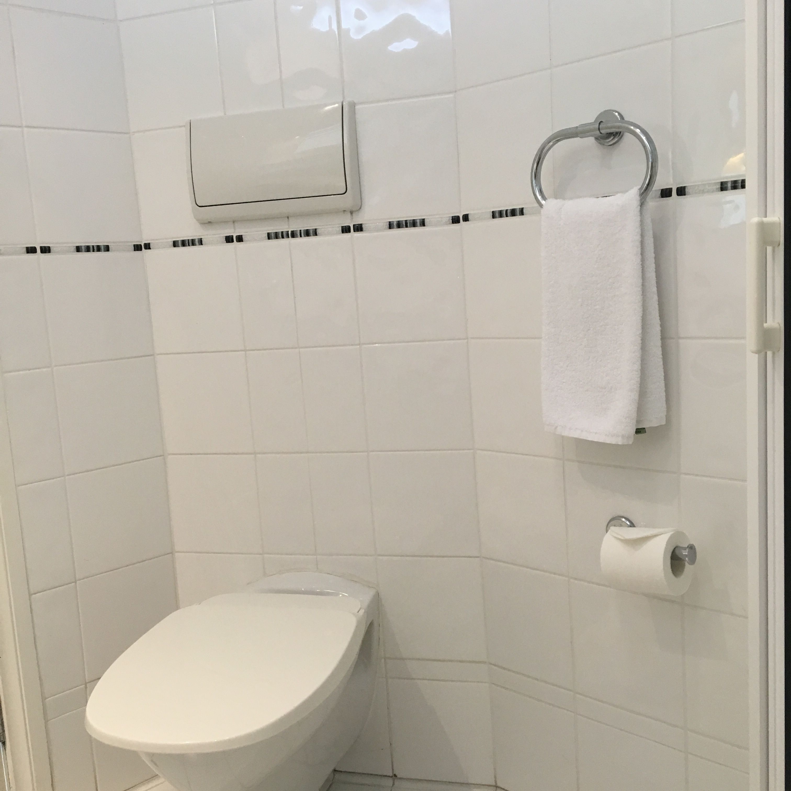 A bathroom with a white toilet, a towel hanging on a metal ring, and a toilet paper holder.