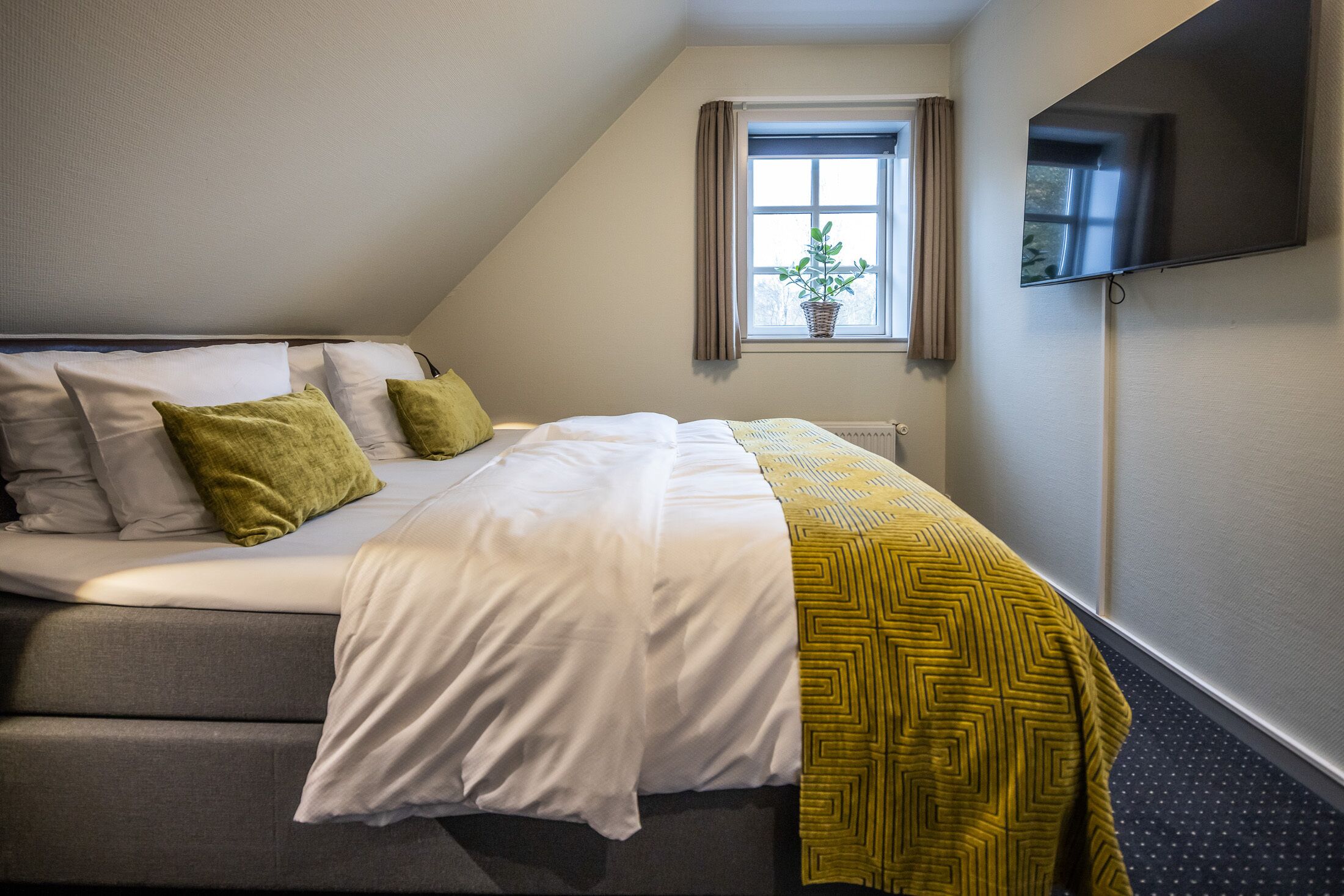Un dormitorio con cama, almohadas, una ventana con cortinas, una planta y un televisor montado en la pared.