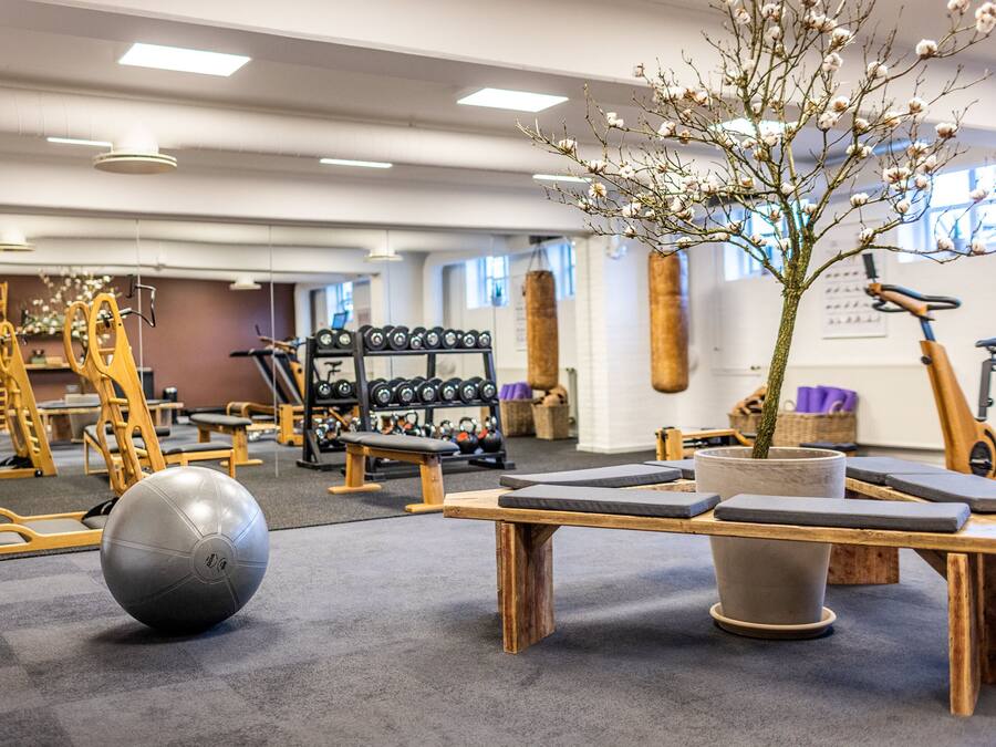 A gym with exercise equipment, a punching bag, and a large tree planter.