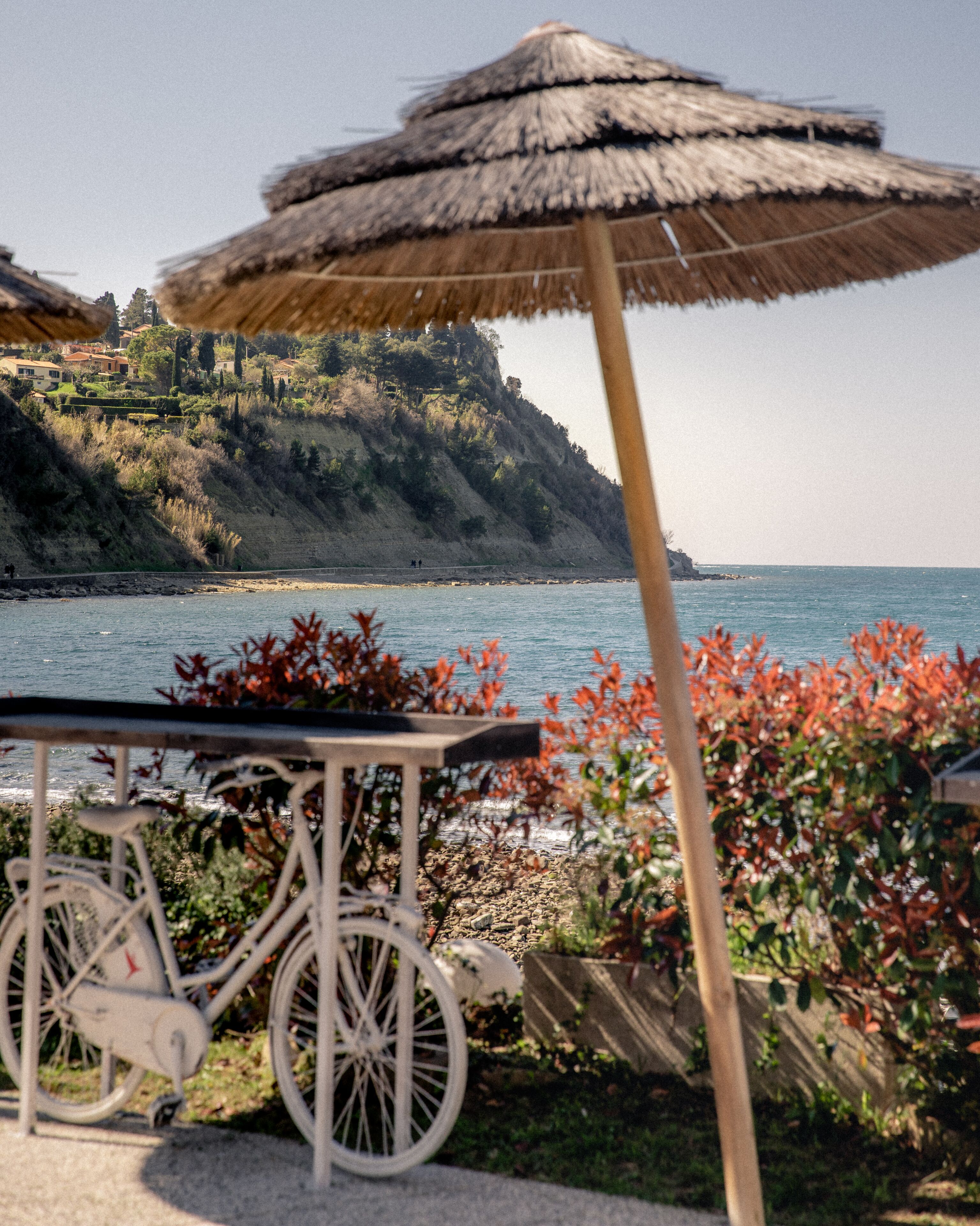A beachside setting with a bicycle and a thatched umbrella.