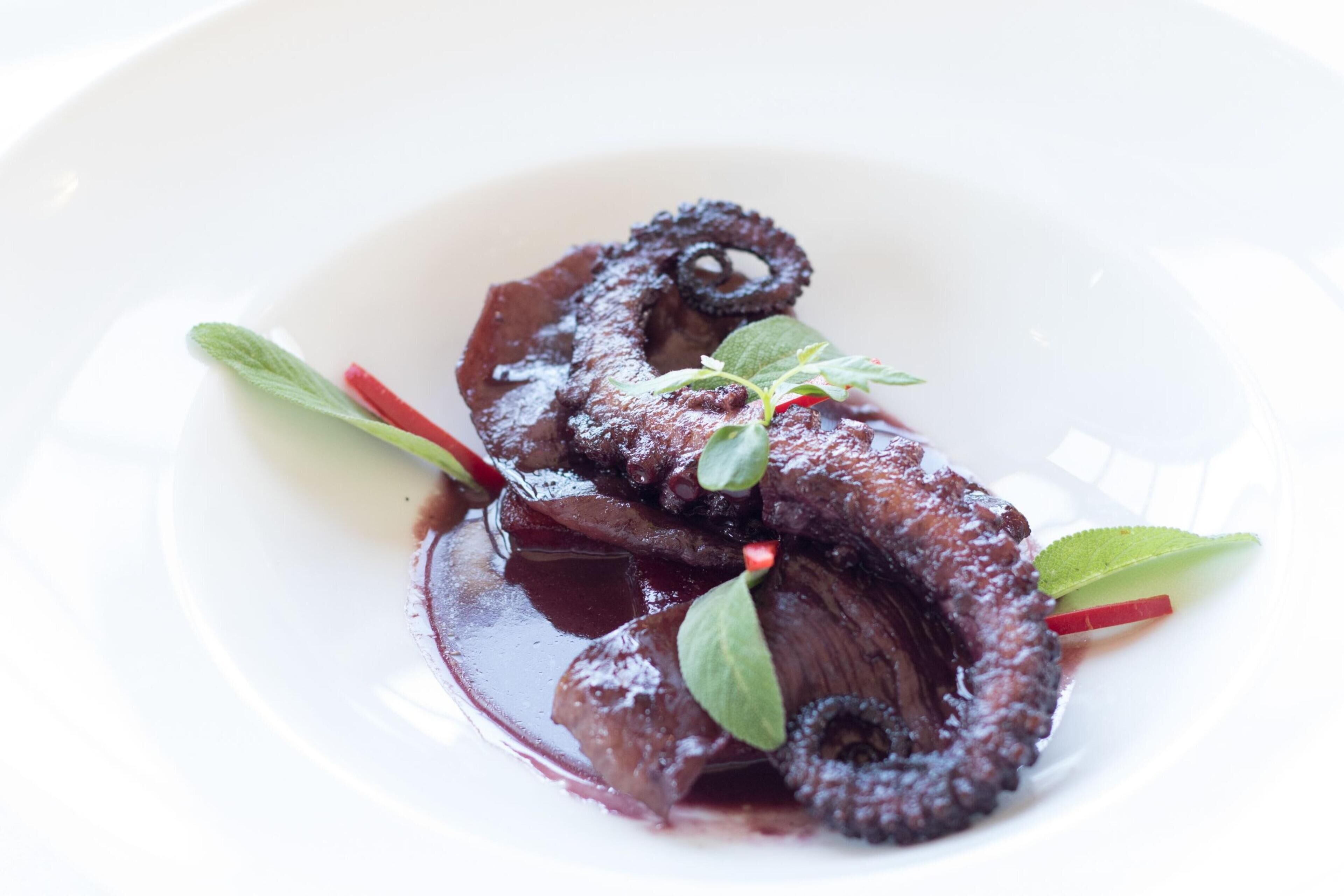 A plate of food with a dark sauce, garnished with green leaves and red accents.