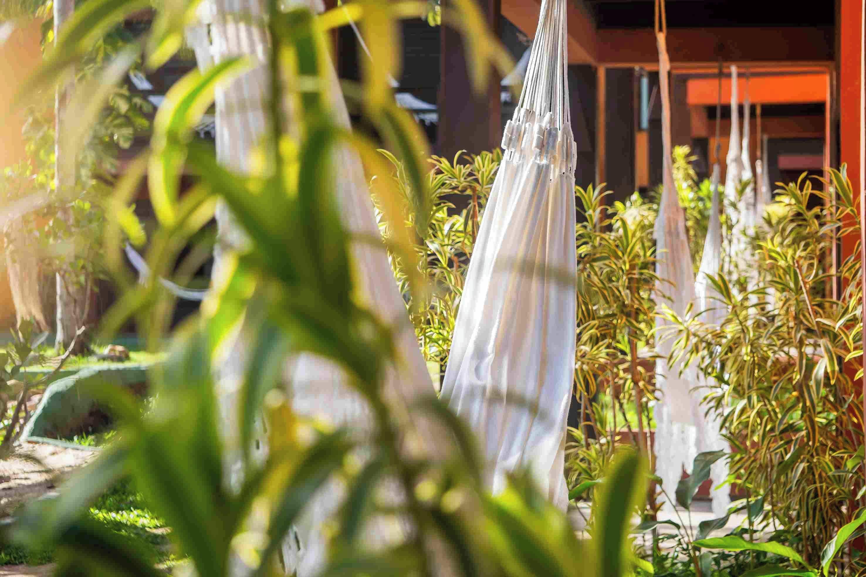 Un jardín con diversas plantas y una estructura con elementos colgantes.