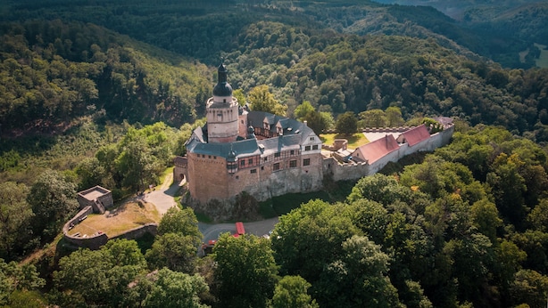 Vista aérea de un castillo histórico rodeado de un bosque frondoso.