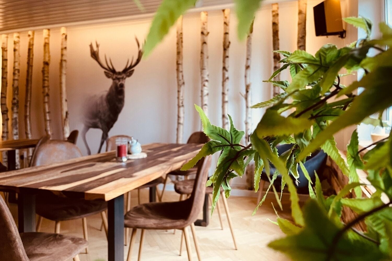 A dining area with a wooden table, chairs, and a wall-mounted deer head decoration.