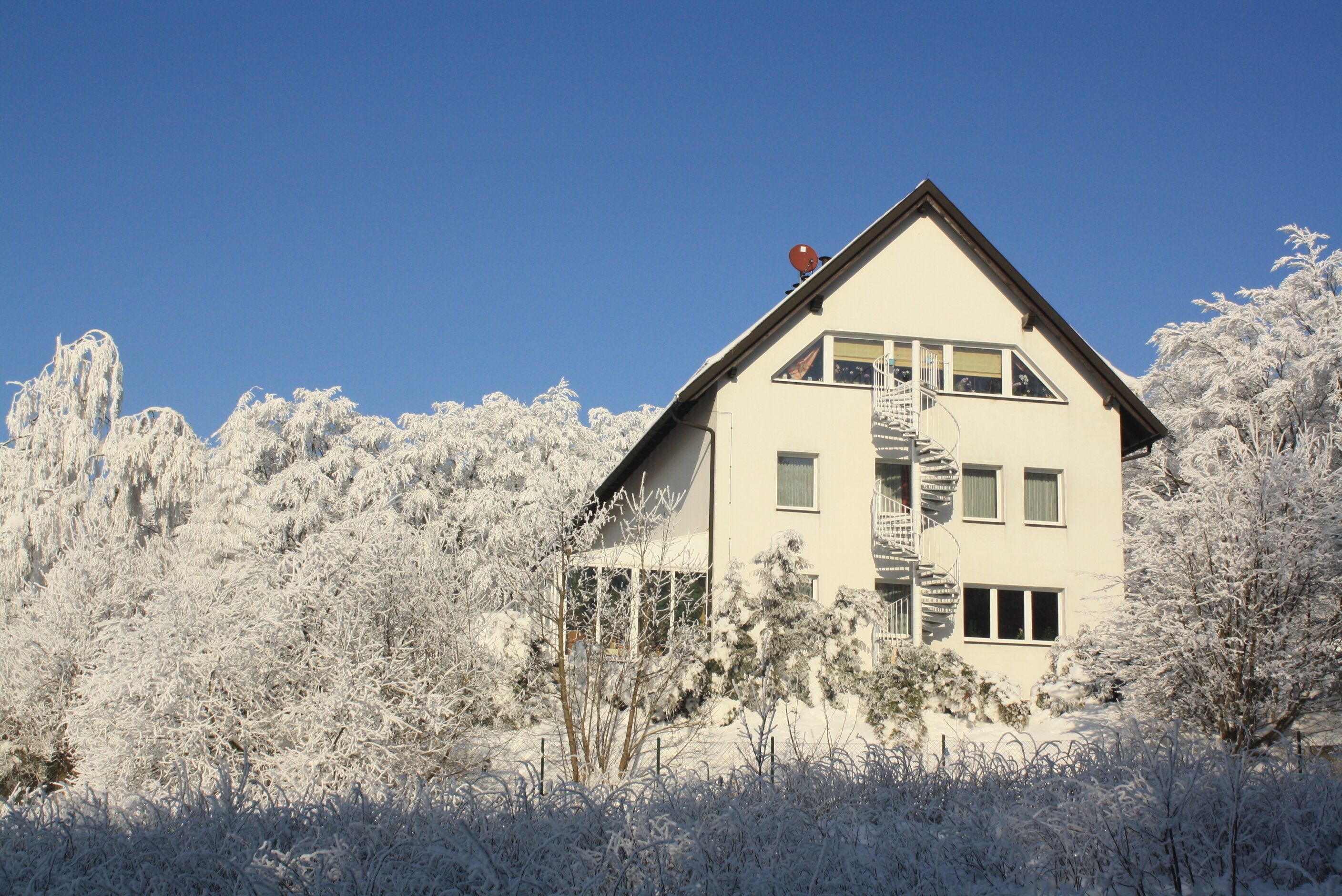 Eksteriør