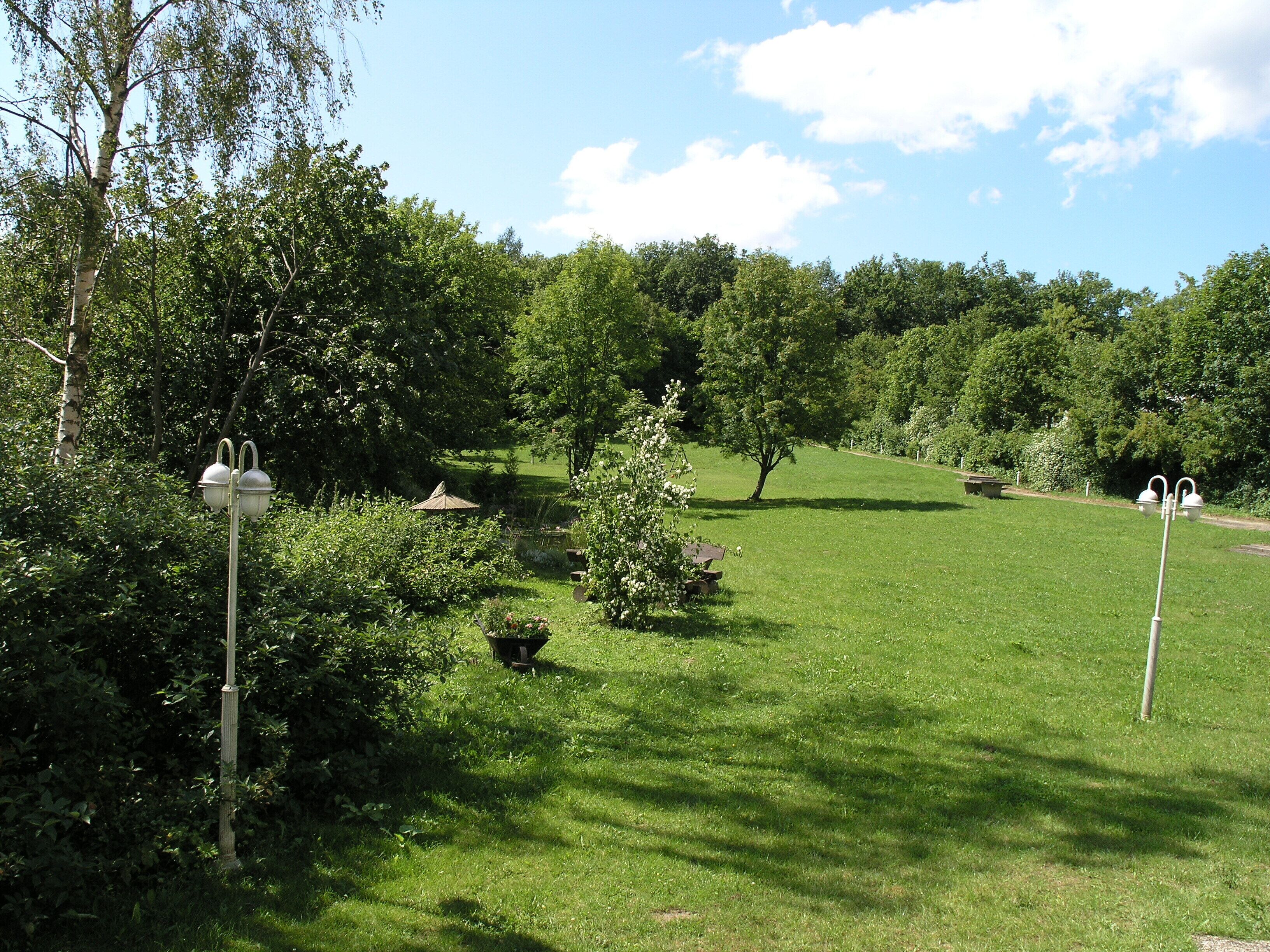 A lush green park with trees, a bench, and a lamp post.