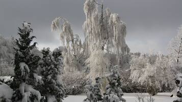 Un paisaje nevado con árboles y un edificio al fondo.