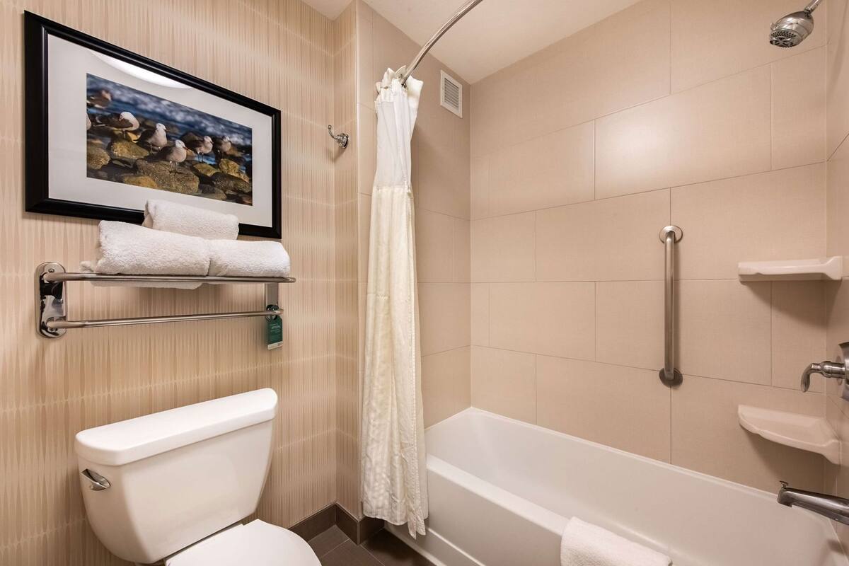 Ein Badezimmer mit Toilette, einer Duschkabine mit Haltegriff, einem gerahmten Bild an der Wand und einem Handtuchhalter.