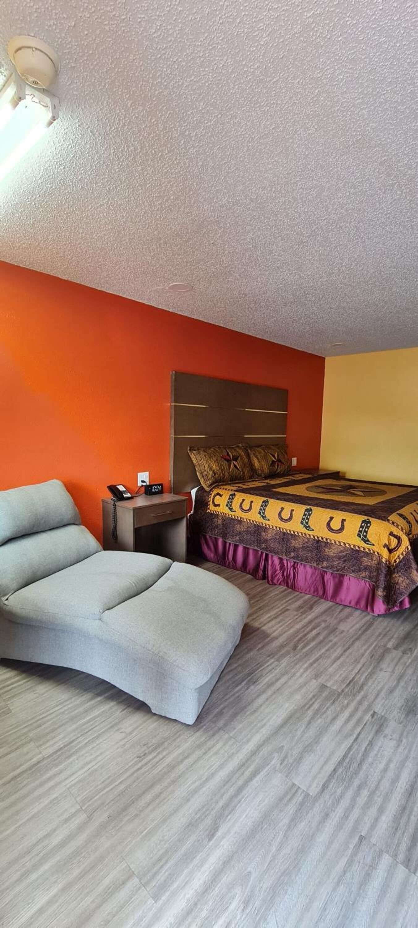 A room with a bed, a sofa, a nightstand, and a ceiling light.