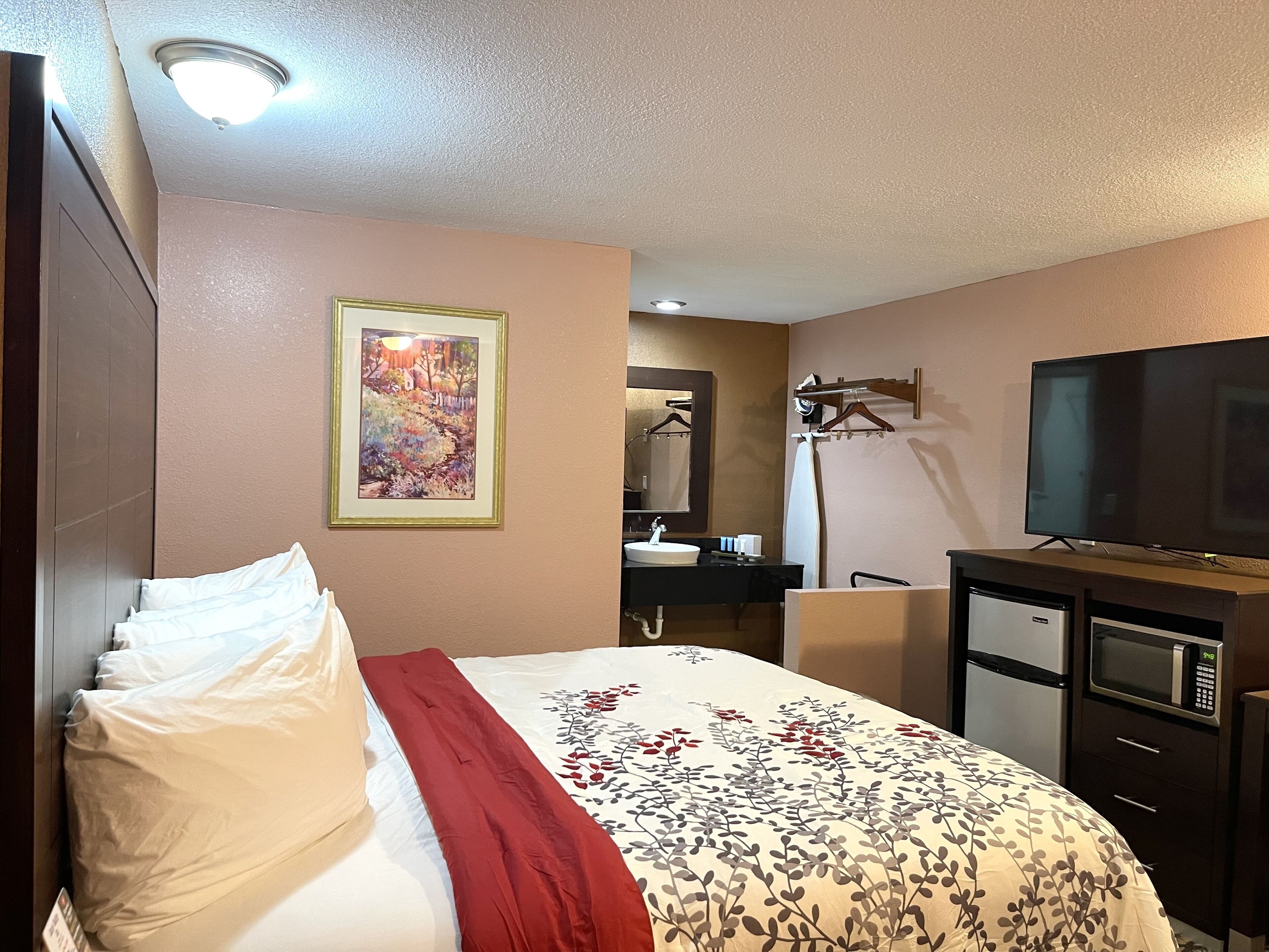 A hotel room with a bed, a TV, a desk with a microwave, a sink, and a mirror.