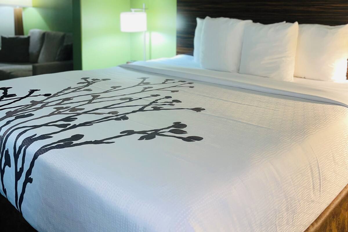 Suite, 1 King Bed, Accessible, Non Smoking | Desk, iron/ironing board, free cribs/infant beds, rollaway beds