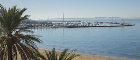 A marina with boats, a sandy beach, and palm trees.