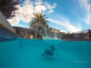 Una piscina al aire libre de temporada, una piscina climatizada