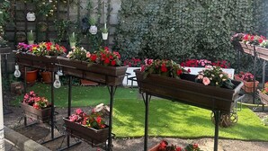 An outdoor garden area with potted plants and a large umbrella. - Hotel Pacific Timisoara (Timisoara)