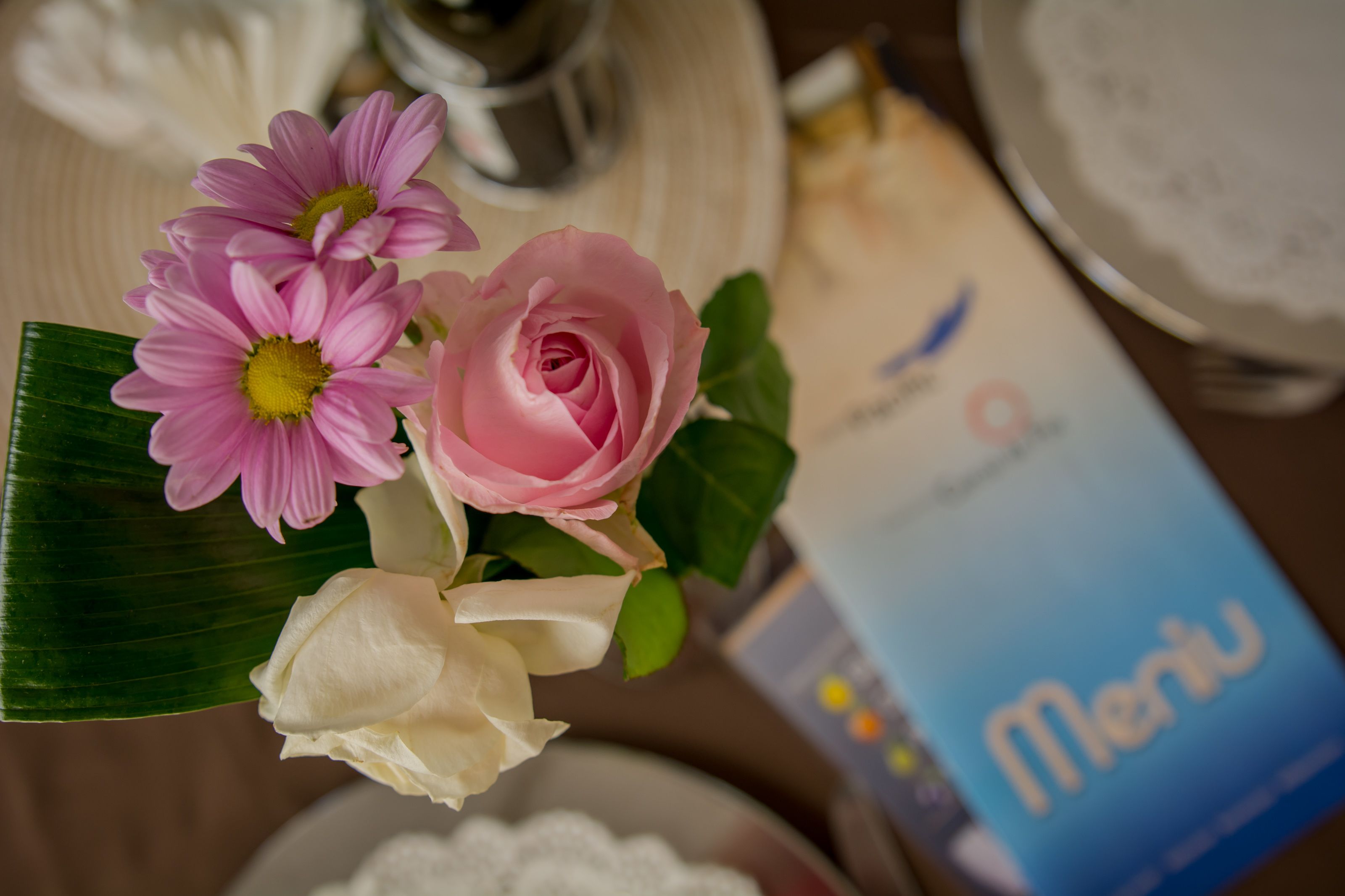 Foto - Hotel Pacific